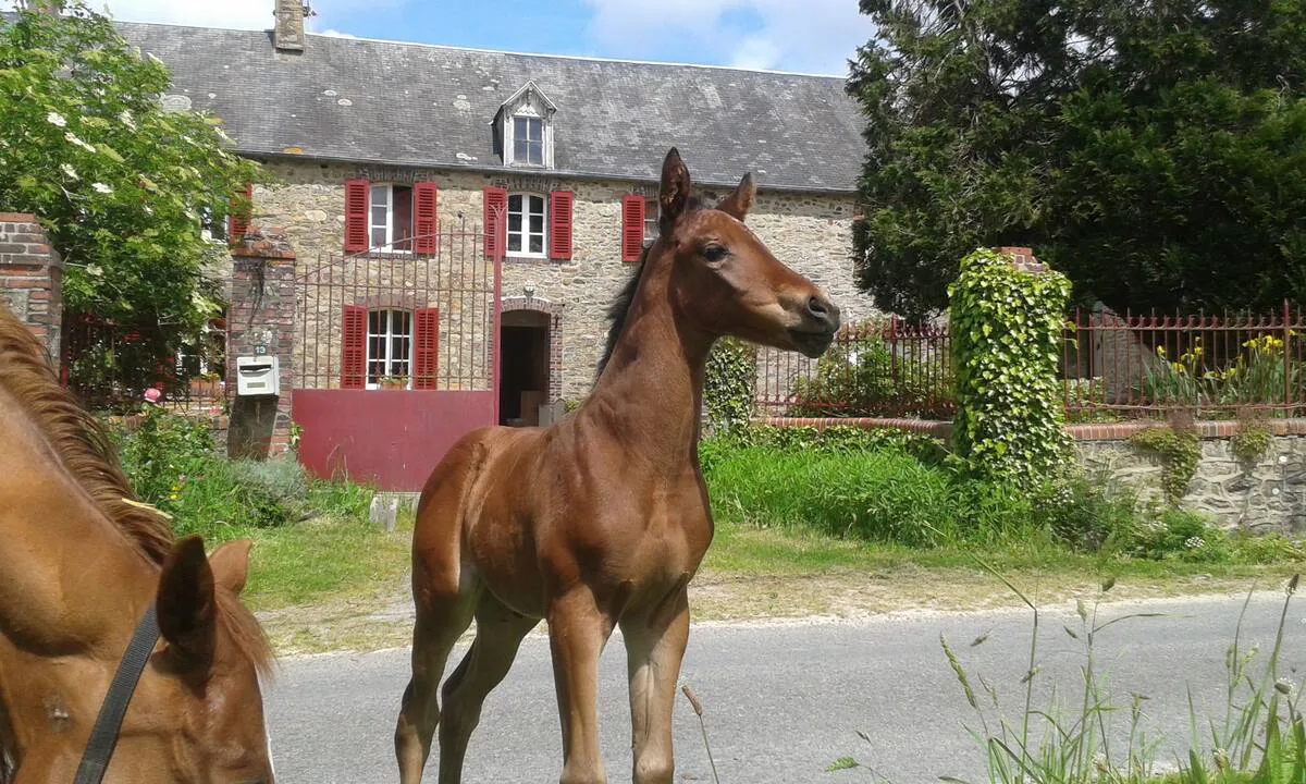 Photo de l'hébergement air BnB