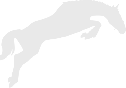 Un fond représentant un cheval